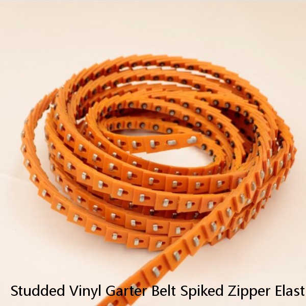 Studded Vinyl Garter Belt Spiked Zipper Elastic Adjustable Lingerie Black V9795