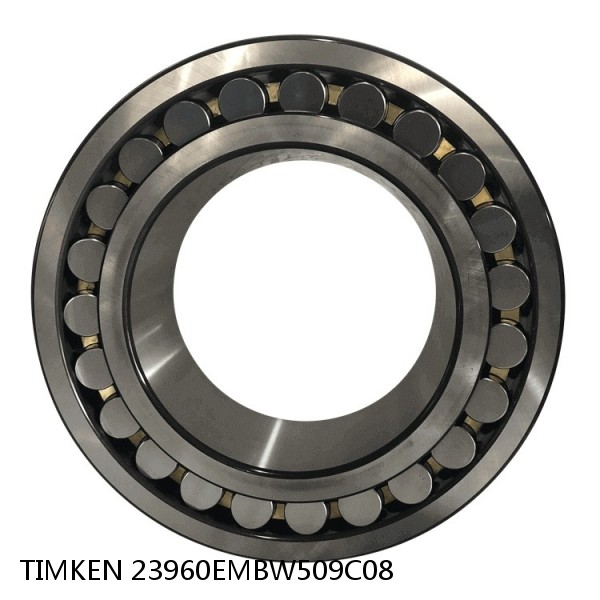 23960EMBW509C08 TIMKEN Spherical Roller Bearings Brass Cage