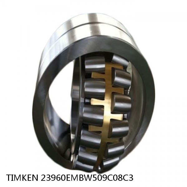 23960EMBW509C08C3 TIMKEN Spherical Roller Bearings Brass Cage