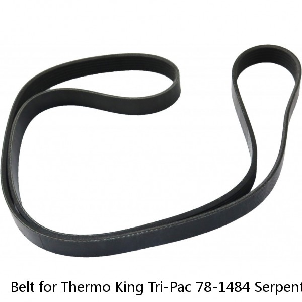 Belt for Thermo King Tri-Pac 78-1484 Serpentine Belt 6 Rib TK APU Tripac 781484 #1 small image