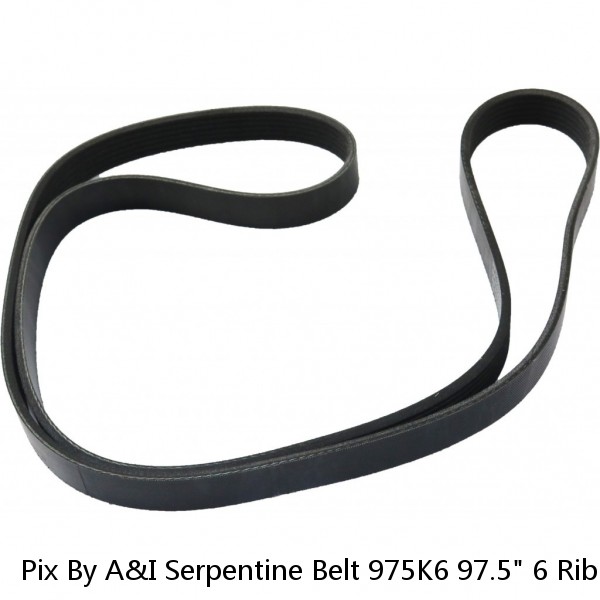 Pix By A&I Serpentine Belt 975K6 97.5" 6 Rib Belt