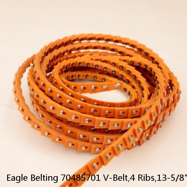Eagle Belting 70485701 V-Belt,4 Ribs,13-5/8" Outside Length #1 small image