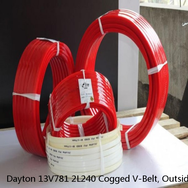 Dayton 13V781 2L240 Cogged V-Belt, Outside Length 24"