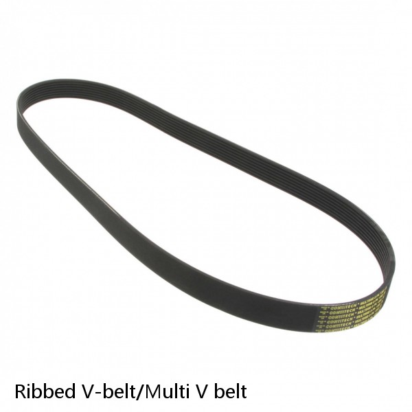 Ribbed V-belt/Multi V belt #1 small image